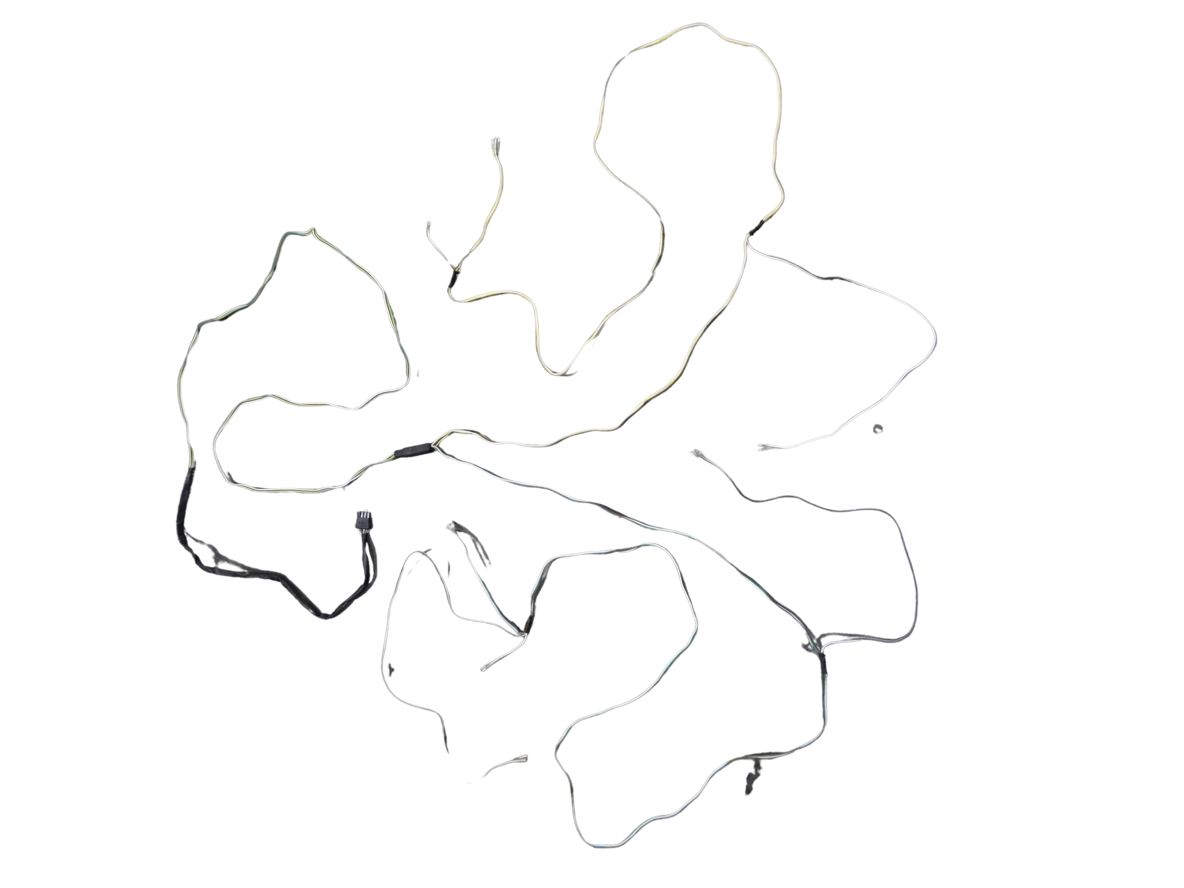 Sportstar II WG Wiring Harness