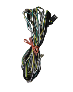 Sportstar II WG Wiring Harness