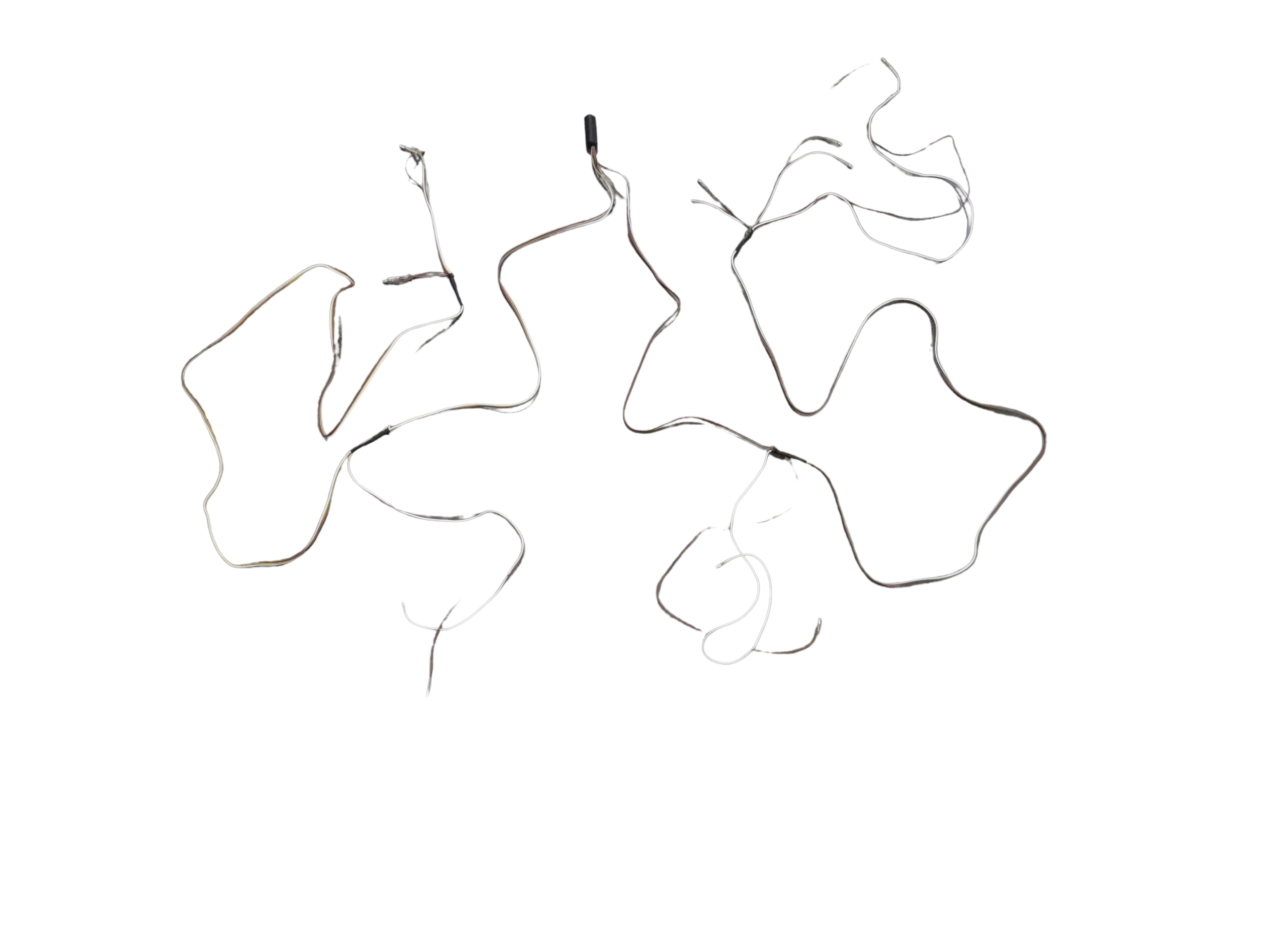 Sportstar II WG Wiring Harness