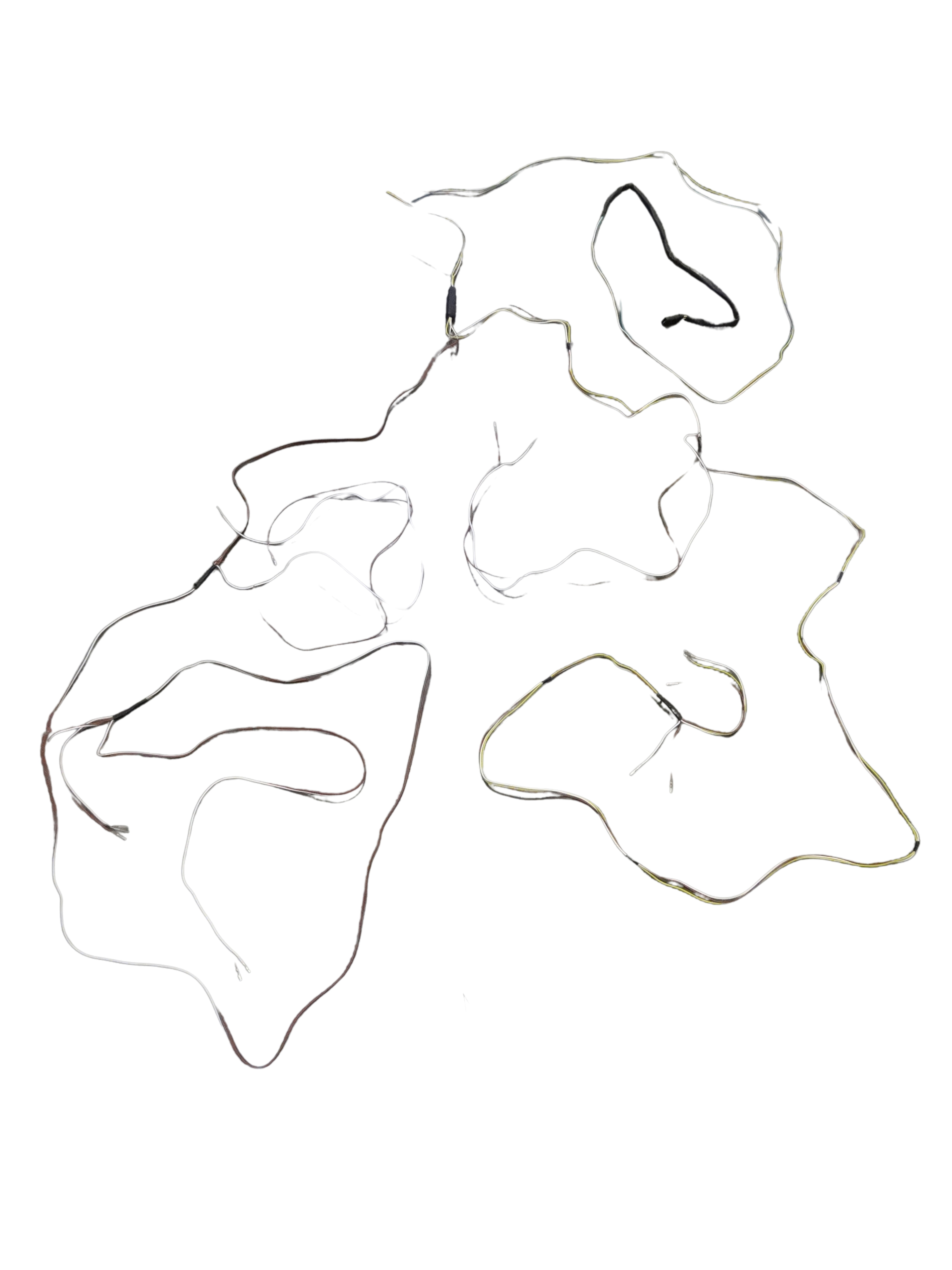 Sportstar III Wiring Harness